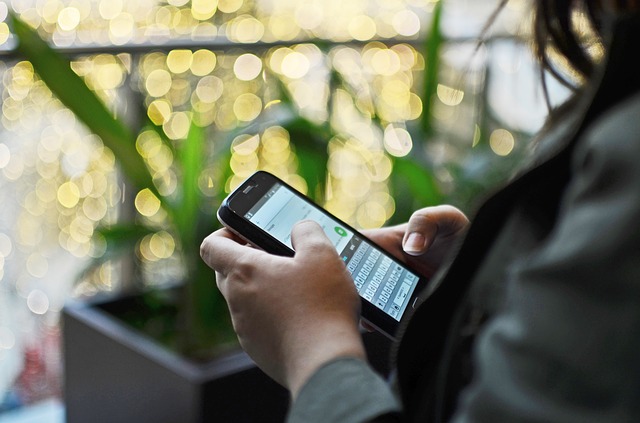 personne sur son téléphone prestataire wifi